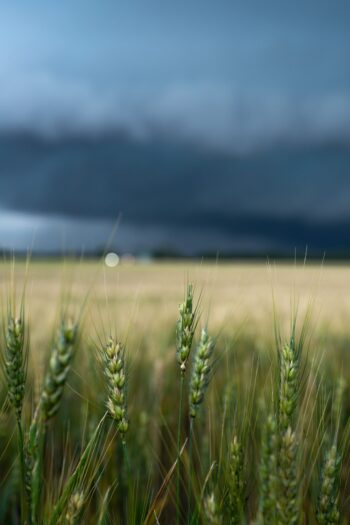 Storm Season